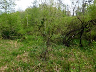 Tucked away in the scenic hills of Magoffin County, this - photo 32