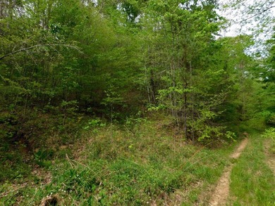 Tucked away in the scenic hills of Magoffin County, this - photo 33