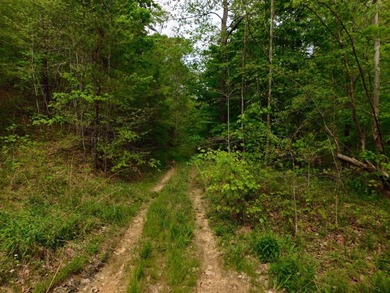 Tucked away in the scenic hills of Magoffin County, this - photo 34