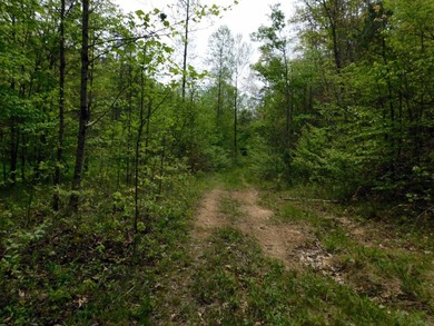 Tucked away in the scenic hills of Magoffin County, this - photo 35