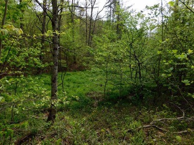 Tucked away in the scenic hills of Magoffin County, this - photo 36