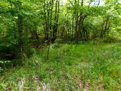 Tucked away in the scenic hills of Magoffin County, this - photo 37