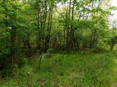 Tucked away in the scenic hills of Magoffin County, this - photo 38