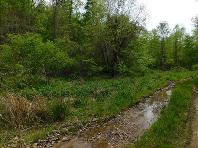 Tucked away in the scenic hills of Magoffin County, this - photo 39