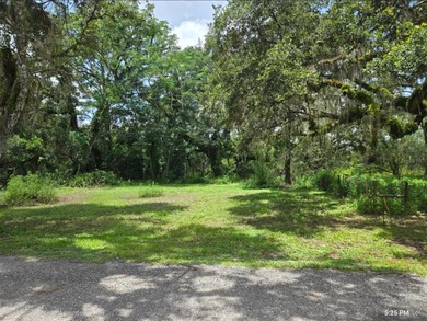 Withlacoochee River Lot For Sale in Ridge Manor Florida