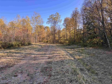 Lake Lot For Sale in Junior, West Virginia