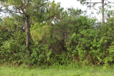 (private lake, pond, creek) Lot For Sale in Loxahatchee Florida