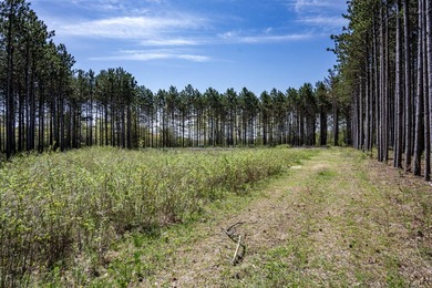 Building Plan with Lot - now available for you to make it your - photo 17