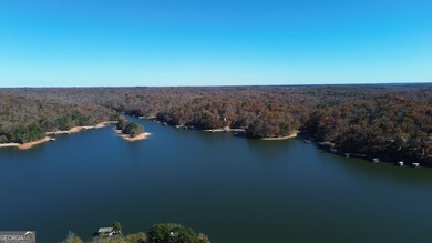 This Lake Hartwell home is just 10 minutes from I-85 with easy - photo 19