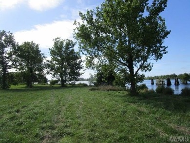 Looking for large tract of land on the river & Creek? That is - photo 6