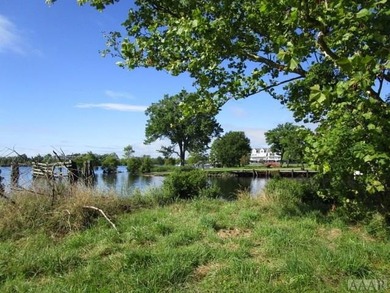 Looking for large tract of land on the river & Creek? That is - photo 7