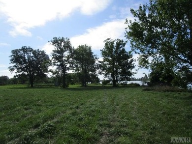 Looking for large tract of land on the river & Creek? That is - photo 9