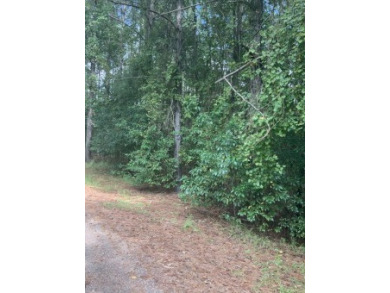 Wooded Lots On Quiet Street At End Of Canal At Mouth Of The Lake - Lake Lot For Sale in Pachuta, Mississippi