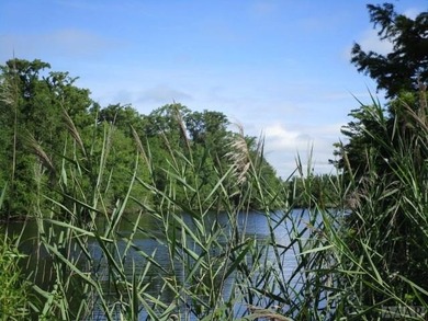 Looking for large tract of land on the river & Creek? That is - photo 10