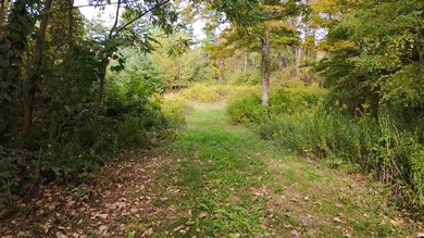 (private lake, pond, creek) Acreage For Sale in Bennington Vermont
