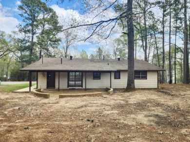 2/2 on 4 lots with water view! - Lake Home For Sale in Shelbyville, Texas