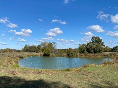 Beautiful piece of rolling hill pasture land fenced bring your - photo 3