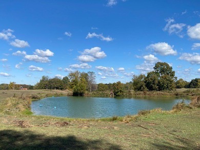 Beautiful piece of rolling hill pasture land fenced bring your - photo 4