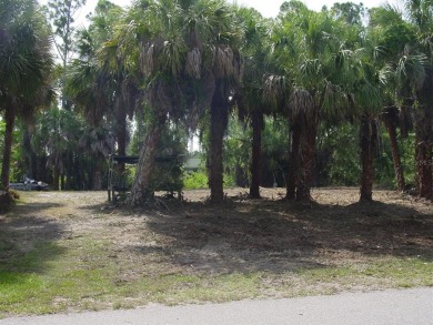 Gulf of Mexico - Alligator Bay Lot For Sale in Port Charlotte Florida