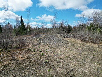 Spacious 22-acre parcel located on Merriman Road in the quiet - photo 1