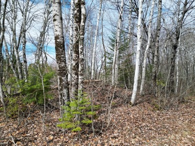 Spacious 22-acre parcel located on Merriman Road in the quiet - photo 3
