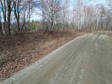 Spacious 22-acre parcel located on Merriman Road in the quiet - photo 5