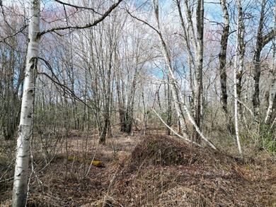 Spacious 22-acre parcel located on Merriman Road in the quiet - photo 6