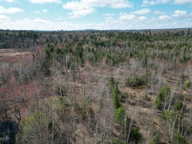Spacious 22-acre parcel located on Merriman Road in the quiet - photo 9