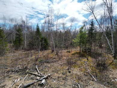 Spacious 22-acre parcel located on Merriman Road in the quiet - photo 10