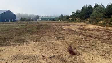 Affordable, generously sized lot zoned I-P Planned Industrial - photo 3
