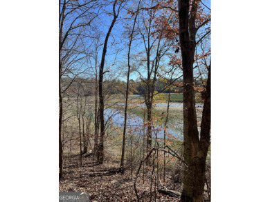 West Point Lake Acreage Sale Pending in Standing Rock Alabama