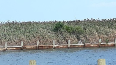 Scenic Bulkheaded Waterfront lot with unobstructed views galore - photo 2
