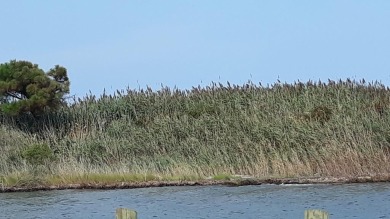 Scenic Bulkheaded Waterfront lot with unobstructed views galore - photo 4