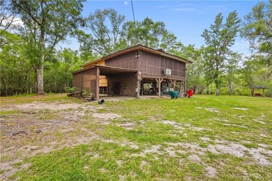 Tucked along a deeper section of the Satilla River in Lewis - photo 2