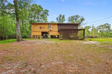 Tucked along a deeper section of the Satilla River in Lewis - photo 3