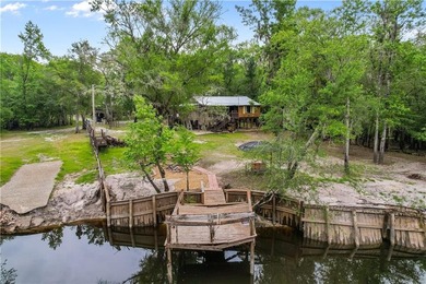 Tucked along a deeper section of the Satilla River in Lewis - photo 5