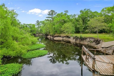 Tucked along a deeper section of the Satilla River in Lewis - photo 6