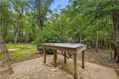 Tucked along a deeper section of the Satilla River in Lewis - photo 10