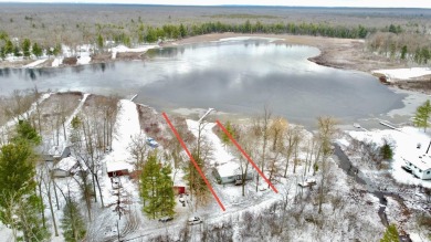 Lake Home For Sale in Bitely, Michigan