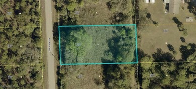 Lehigh Acres Area Lot For Sale in Lehigh Acres Florida