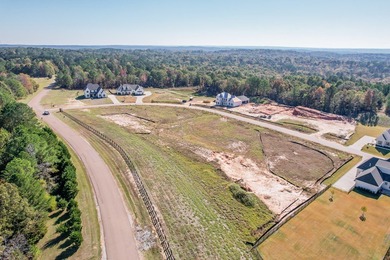 Welcome to The Highlands Phase 12! Build your own dream home on - photo 3