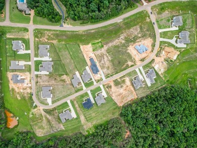 Welcome to The Highlands Phase 12! Build your own dream home on - photo 10