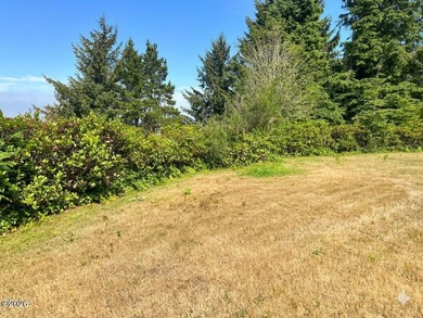 South Lincoln City sitting up high to maximize the stunning bay - photo 3