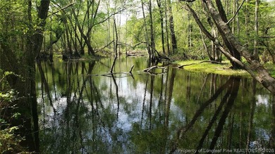 Discover 52 acres of pure outdoor paradise along the scenic - photo 9