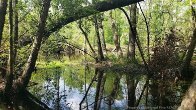 Discover 52 acres of pure outdoor paradise along the scenic - photo 10