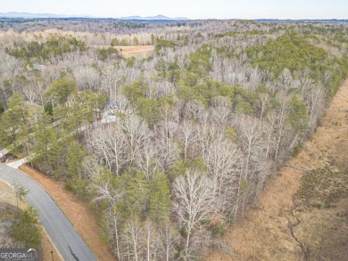 Lake Lot For Sale in Gainesville, Georgia