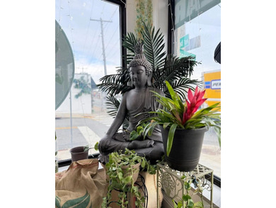 Vida Coffee Shop - Turn-Key Award-Winning Cafe. PRIME LOCATION - photo 10
