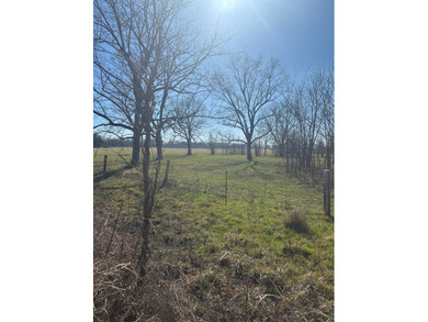 Prime Southeast Oklahoma hunting and recreational property - photo 7