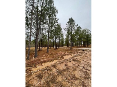 Broken Bow Lake Lot For Sale in Broken Bow Oklahoma
