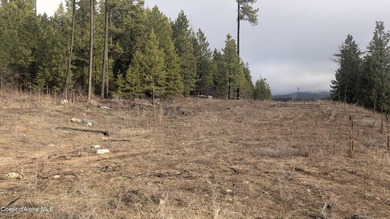 This beautifully treed 10+ acre parcel located just 15 minutes - photo 3